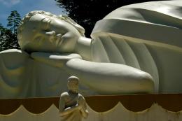 Sleeping Budha